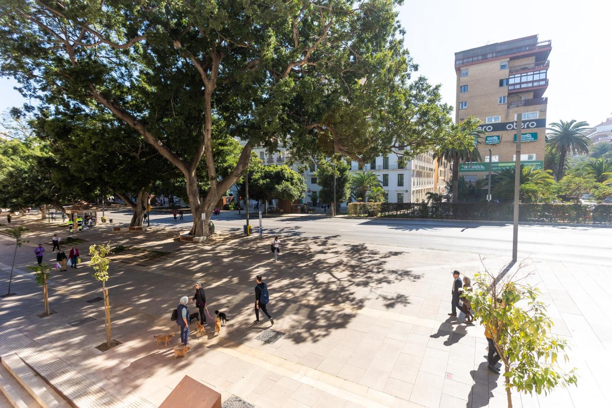 La Casa De La Alameda Lejlighed Málaga Eksteriør billede